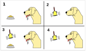 Classical Conditioning for Peace