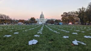 Thousands of “Tsinelas,” Flip Flops Displayed Outside U.S. Capitol Asks Biden Administration for Passage of Philippine Human Rights Act Ahead of Summit for Democracy