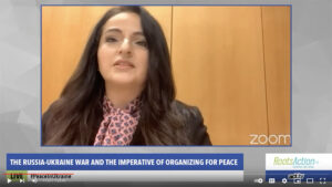 Video of Webinar: The Russia-Ukraine War and the Imperative of Organizing for Peace