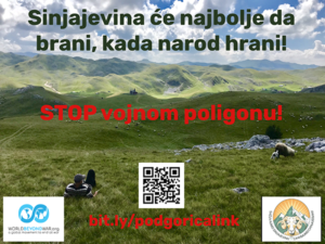 Billboard in Sinjajevina