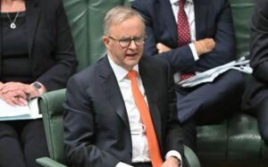 Enough is Enough for Albanese on Assange: Our Allies May Respect Us if We Say This More